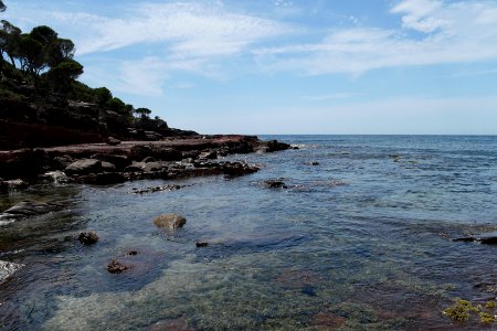 Ben Boyd National Park, New South Wales 13