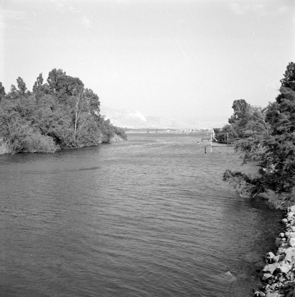 Begroeide oevers van de rivier de Jordaan bij de uitmonding van de rivier in het, Bestanddeelnr 255-4137