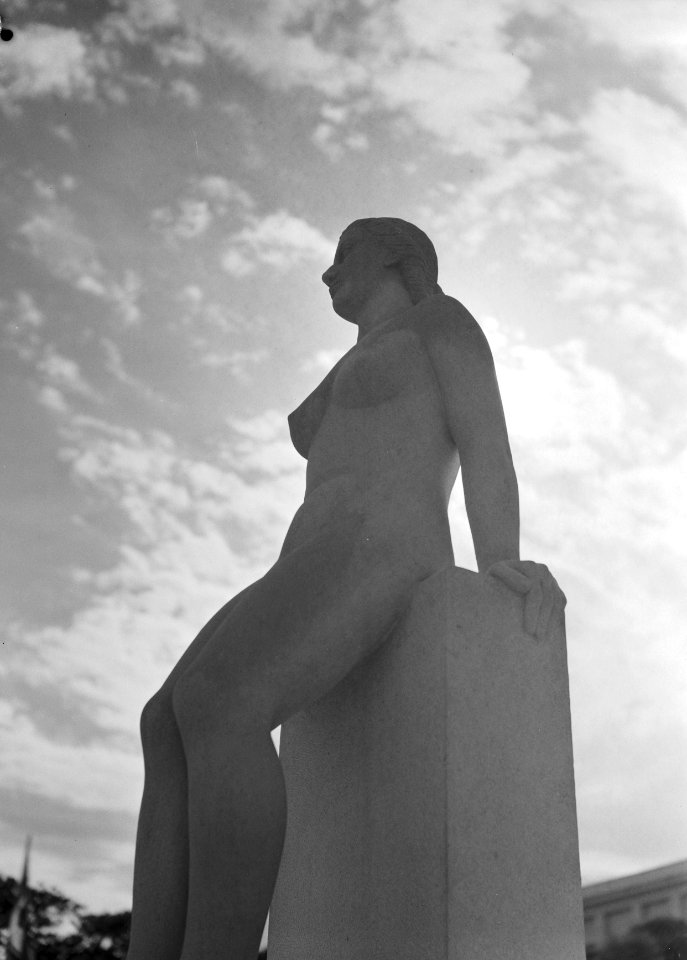 Beeld voor het Palais de Chaillot bij het tentoonstellingsterrein, Bestanddeelnr 254-2667
