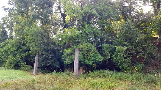 Bemelen-Schoorberggroeve II (7)