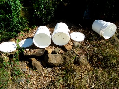 Bees in plastic pails at Hillview Farms in New Jersey