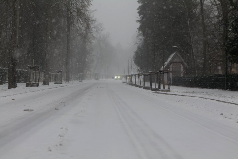 Beelitz-Heilstätten with snow 2021-02-07 08