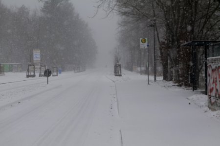 Beelitz-Heilstätten with snow 2021-02-07 10