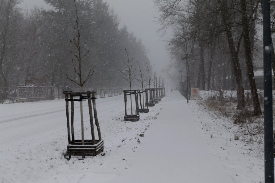 Beelitz-Heilstätten with snow 2021-02-07 14