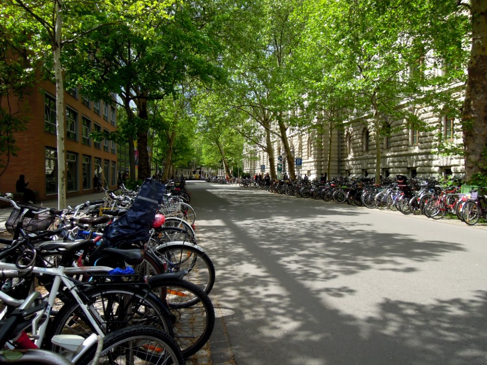 Beethovenstraße mit Albertina rechts und geisteswissenschatlichem Zentrum der Uni Leipzig links säumend Mitte Mai 2019