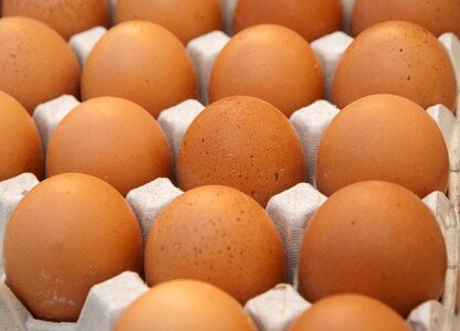 Market egg carton kitchen