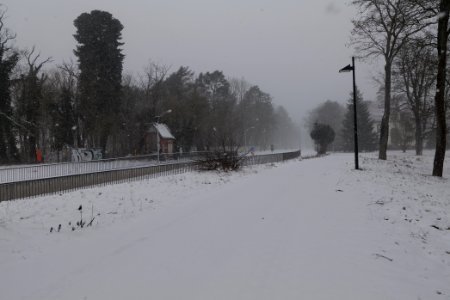 Beelitz-Heilstätten with snow 2021-02-07 01