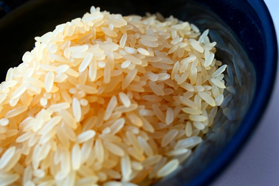 Food rice plate eat