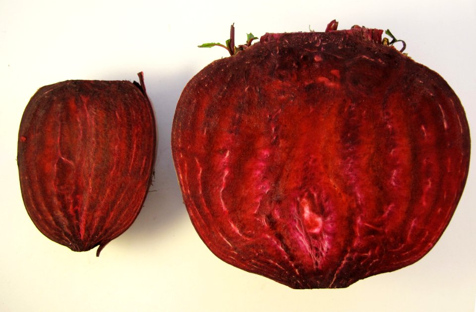 Beet root before bolting