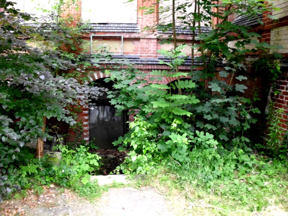 Beelitz-Heilstätten Männer-Lungenheilgebäude 42