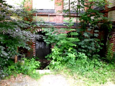 Beelitz-Heilstätten Männer-Lungenheilgebäude 42