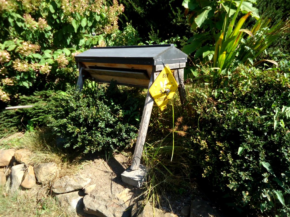 Bees at Hillview Farms in New Jersey