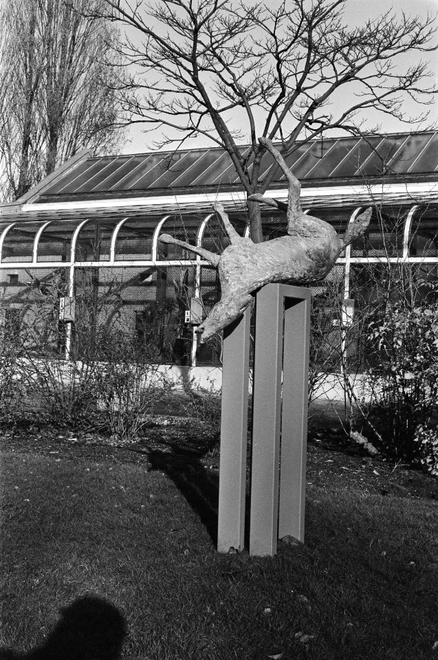 Beeldententoonstelling in Artis, Bestanddeelnr 933-1617