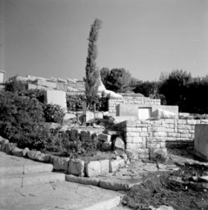 Begraafplaats te Safad (Safed) met terassen met staande en liggende zerken en b…, Bestanddeelnr 255-4015 photo