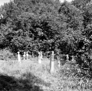 Begraafplaats in de Jodensavanna, Bestanddeelnr 252-6457
