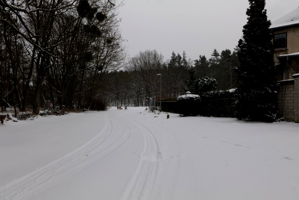 Beelitzer Straße Ferch with snow 2021-02-07 02