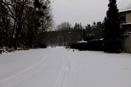Beelitzer Straße Ferch with snow 2021-02-07 02