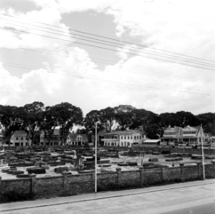 Begraafplaats Oranjehof in Paramaribo, Bestanddeelnr 252-5272