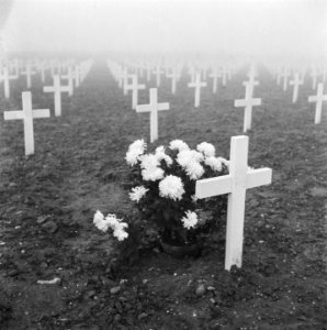 Begraafplaats Margraten, Bestanddeelnr 900-9981