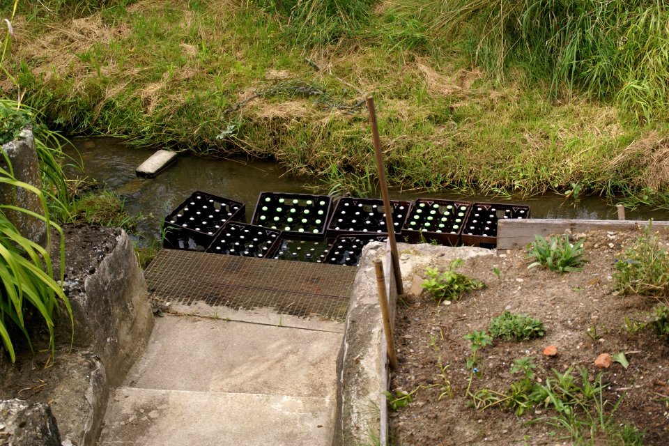 Beer crates cooling in a brook, Heiligkreuztal, Germany