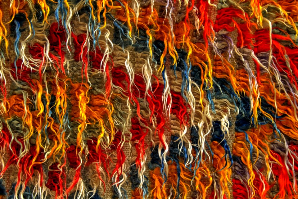 Art turkey colorful