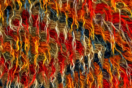 Art turkey colorful
