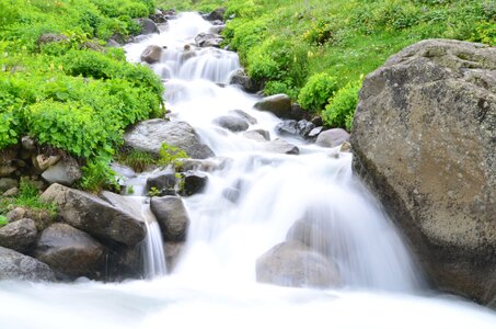 Nature green kaçkars