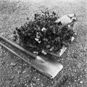 Begraafplaats Margraten, Bestanddeelnr 900-9977