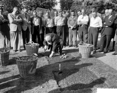 Begin van het planten van 1,5 miljoen bollen voor de Floriade te Rotterdam, Bestanddeelnr 910-6903