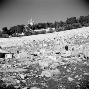 Begraafplaats aan de voet van Mount Scopus, Bestanddeelnr 255-5150