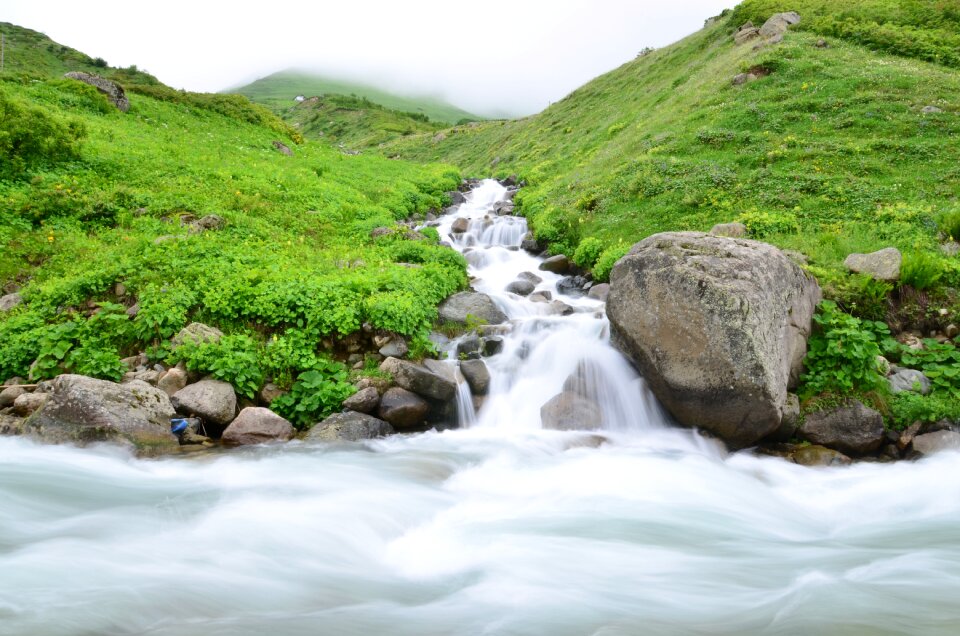 Nature green kaçkars