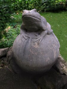 Frog prince garden deco photo