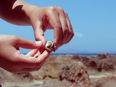 Hand hand shell sea