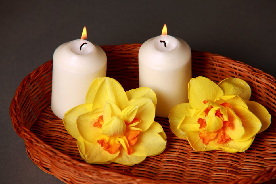 Deco plant romantic