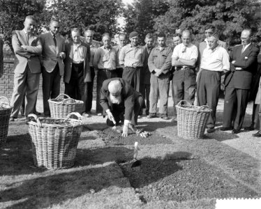 Begin van het planten van 1,5 miljoen bollen voor de Floriade te Rotterdam, Bestanddeelnr 910-6901