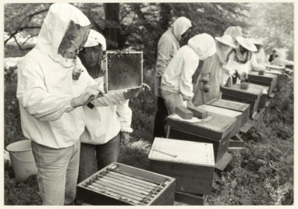Beginnende imkers op de Zocherschool te Overveen. NL-HlmNHA 54013909