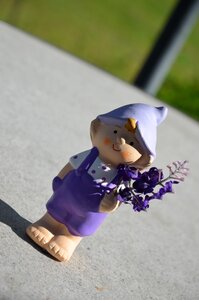 Pants flowers in the hand dwarf