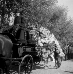 Begrafenis van Officier-vlieger Velder Den Haag. Bloemen, Bestanddeelnr 903-0365