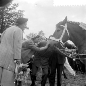 Belangstelling van koningin Juliana en Prinses Beatrix voor het bekroonde paard, Bestanddeelnr 908-9044