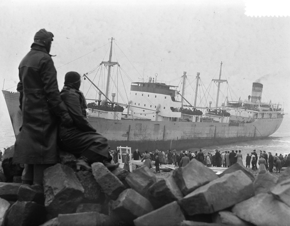 Belangstelling bij gestrand Noors vrachtschip Franeggen bij de Hondsbossche Ze, Bestanddeelnr 904-9120