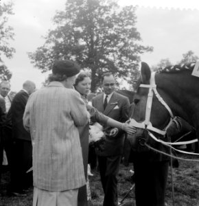 Belangstelling van koningin Juliana en Prinses Beatrix voor het bekroonde paard, Bestanddeelnr 908-9040