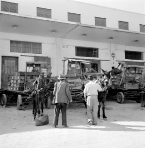 Beladen wagens voor een levensmiddelenveiling met op de achtergrond het veilingg, Bestanddeelnr 255-1903 photo