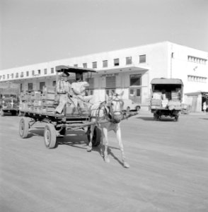 Beladen paard en wagen voor een levensmiddelenveiling met op de achtergrond het , Bestanddeelnr 255-1901 photo
