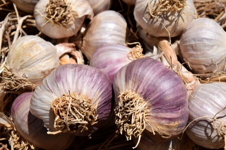 Eat spice tuber