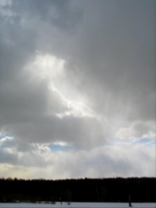 Belated snowfall over Bitsa Park