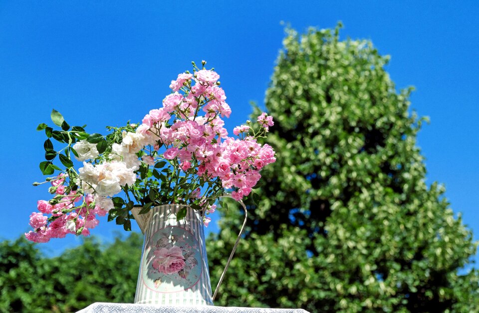 Pink white bouquet rose pitcher