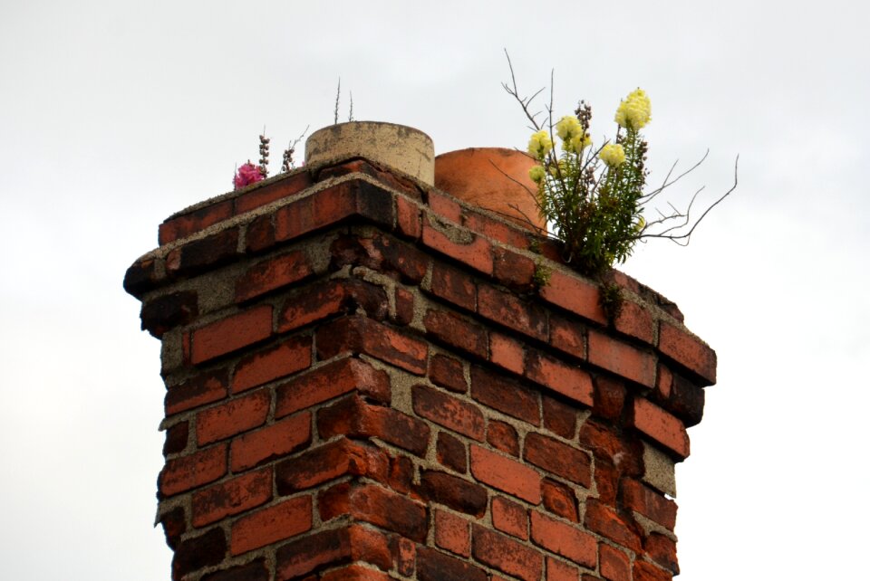 Ireland old roof photo