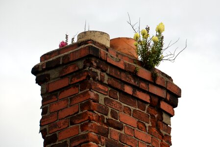Ireland old roof