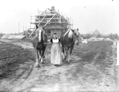 Boerin Visser uit Sonburg in Noordoostpolder met paarden, Bestanddeelnr 903-6327