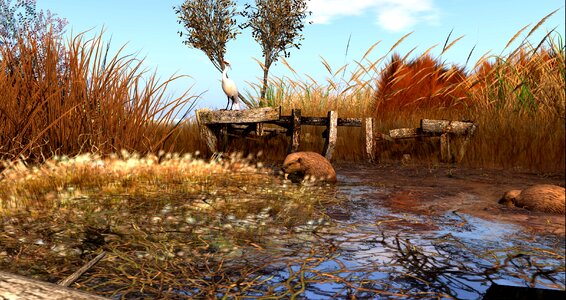 Swamp waters virtual